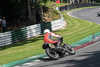 Vintage-motorcycle-club;eventdigitalimages;mallory-park;mallory-park-trackday-photographs;no-limits-trackdays;peter-wileman-photography;trackday-digital-images;trackday-photos;vmcc-festival-1000-bikes-photographs